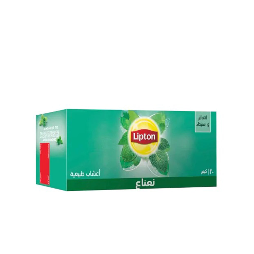 Tea Bag: Delicate Mint — Infusion —, 9116390 (Lipton, United